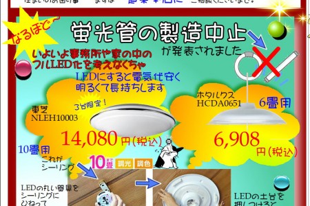 道東本店便り～コスモスベリーズ2024年11月号